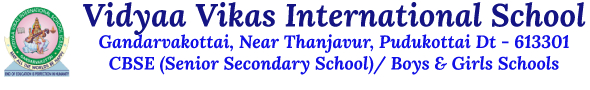 Vidyaa Vikas Interational School
